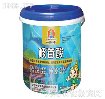 ������-һ����