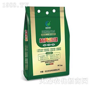 ���S����-�����r(n��ng)�I(y��)