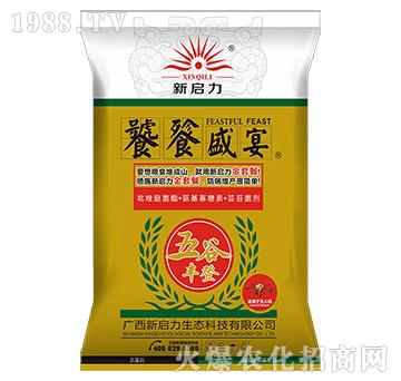 ����ʢ��-����