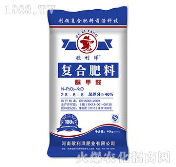 �ͺϷ��ϣ����ȩ��28-6-6-������