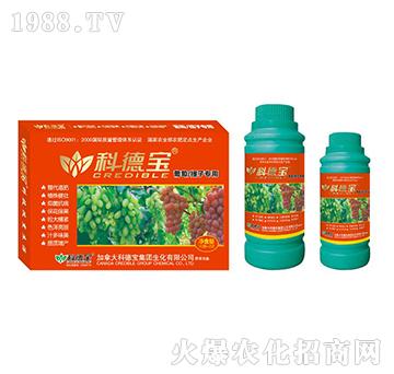 ���ѡ����ӌ��àI(y��ng)�B(y��ng)���a(ch��n)�{(di��o)�턩-�Ƶ�