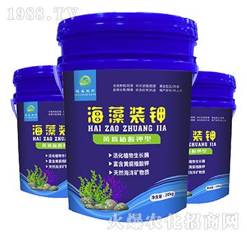 �����b�-��ɭ�r��