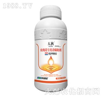 õ�廨���Ú�������-���-�����r