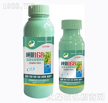 �D�Z168��-��̩���