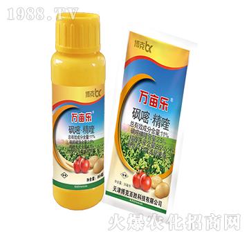 11%���ס����-�f��