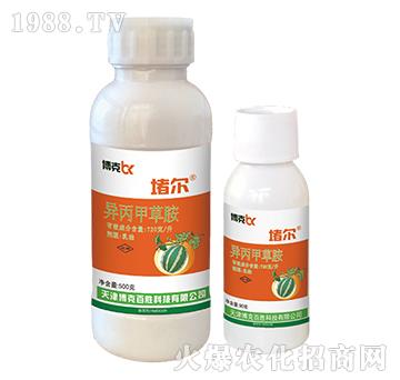 720��ÿ�������ײݰ�