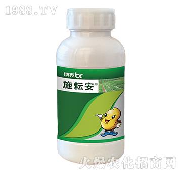 50%�䡤��-ʩ�Ű�-