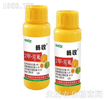 44%2�ס��p��-����-���˰ل�