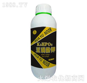 �������K2HPOS-�Z��