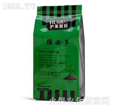 ���ض�-�o(h��)�����H