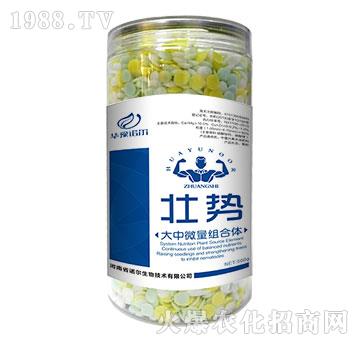 ����΢���M���w-�ф�-�Z��