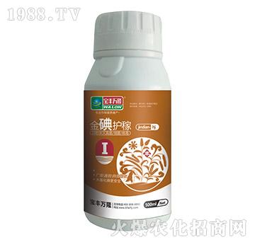 ����o(h��)��-���S�f(w��n)¡