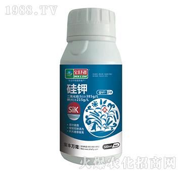 ���-���S�f¡