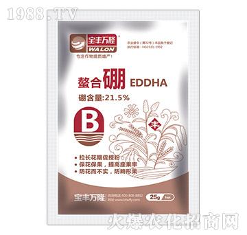 ������-���S�f¡