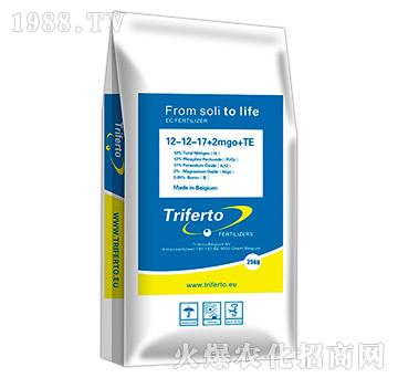 ԭ�b�M�ڸߝ�ȏͺϷ�12-12-17+2mgo+TE-���\