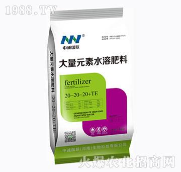 ����Ԫ��ˮ�ܷ���20-20-20+TE-������-���\(ch��ng)��(gu��)(li��n)