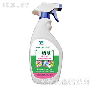 һ���n-�~����-�֠���(y��u)