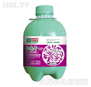 �ޏͿ�����-�|����-���S�f¡