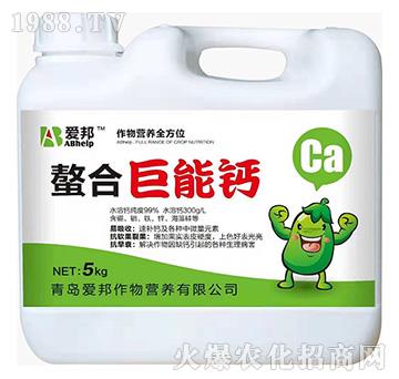 ����I(y��ng)�B(y��ng)ȫ��λ-���Ͼ����}-��(��i)��