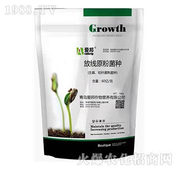 �ž�ԭ�۾��N-��(��i)��