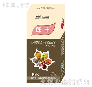 ���S-���_(t��i)��