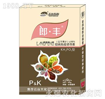 �ɡ��S-���_(t��i)��