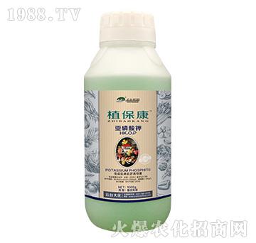 1000gֲ����-���_(t��i)��