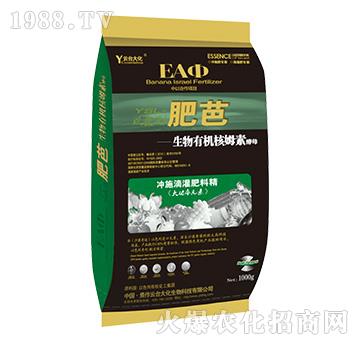 �ʰ�-���_(t��i)��