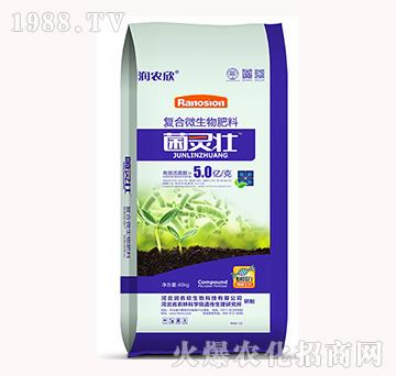 ��(f��)��΢�������-���`��-���r(n��ng)��