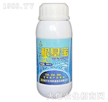 ����������������-Ҧ�����r