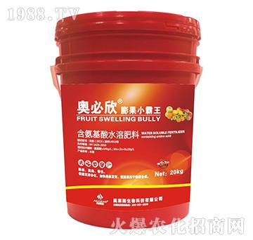 ���С����-�W����-�W�R˹