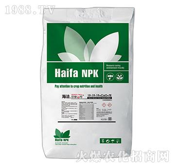 ���������u1̖19-19-CaO+TE-������