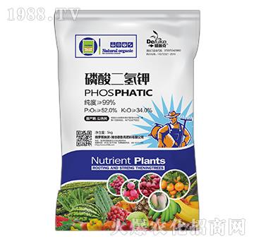 ��������-������-���r(n��ng)˼�_(d��)