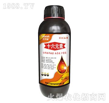 ʮ��Ԫ��-���L(zh��ng)��