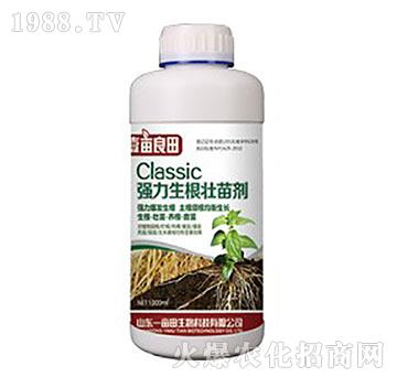 �����������焩-Ҽ������