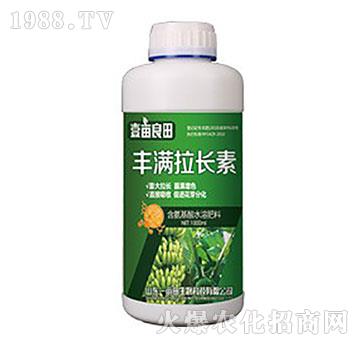 �S�M���L(zh��ng)��-Ҽ������