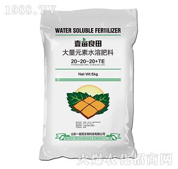 ����Ԫ��ˮ�ܷ�20-20-20+TE��5kg��-Ҽ������