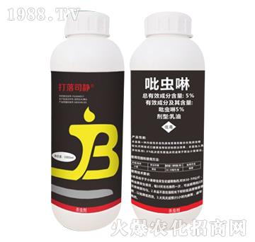 5%���x��-����˾�o-