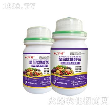 �������Ǵ��}-���˹����r(n��ng)��