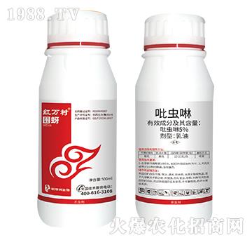 5%���x(ch��ng)��-����-���˹����r(n��ng)��