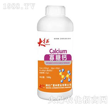 �����}-��t-�V���ַʘI(y��)