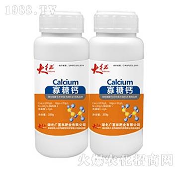 �����}-��t��200g��-�V���ַʘI(y��)