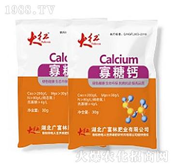 �����}-��t��30g��-�V���ַʘI(y��)