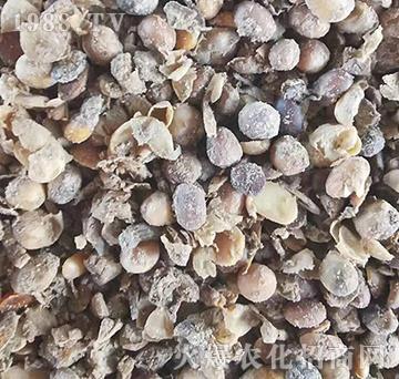 �������l(f��)�ʹ�-�|������