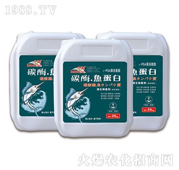 ̼ø���~(y��)����-������-�vɭ�ʘI(y��)