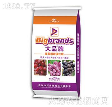 ��������߼t��-��Ʒ��