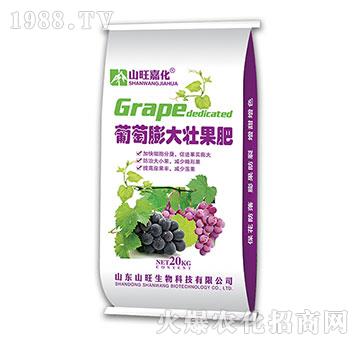 �������ѹ���-ɽ����