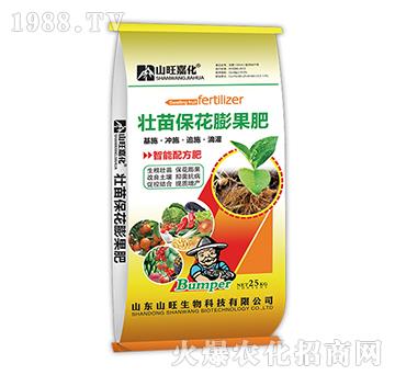 ������������-ɽ��