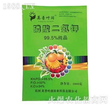 99.5%��������-Ӣ���~��(r��n)