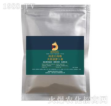 ��Ȼ���}����-��